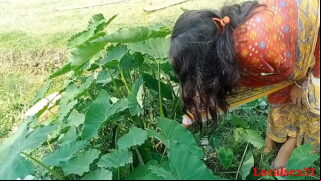 Bihari Village Escort with Village Client Fucking Doggystyle Video