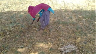 Punjabi Village Woman With Her Boss Hard Sex In Outdoor Video